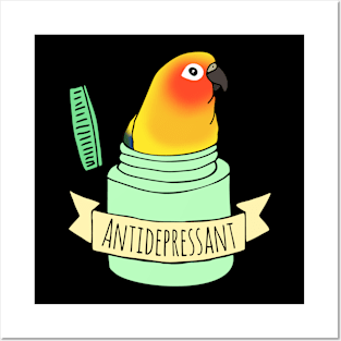 antidepressant sun conure Posters and Art